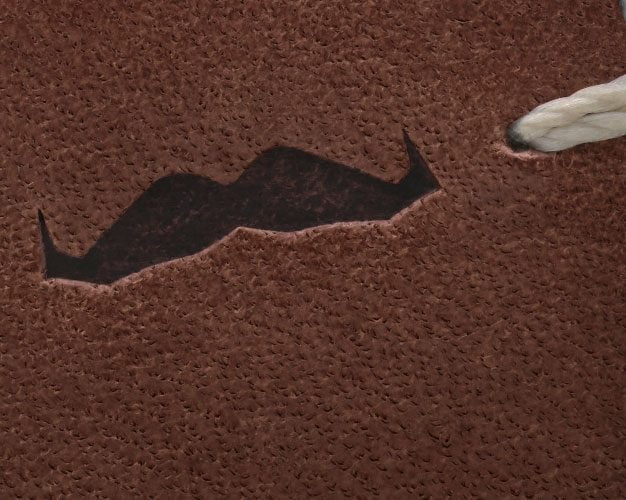 Oris Movember Edition