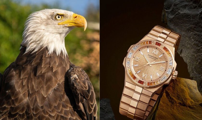 Chopard Alpine Eagle Summit