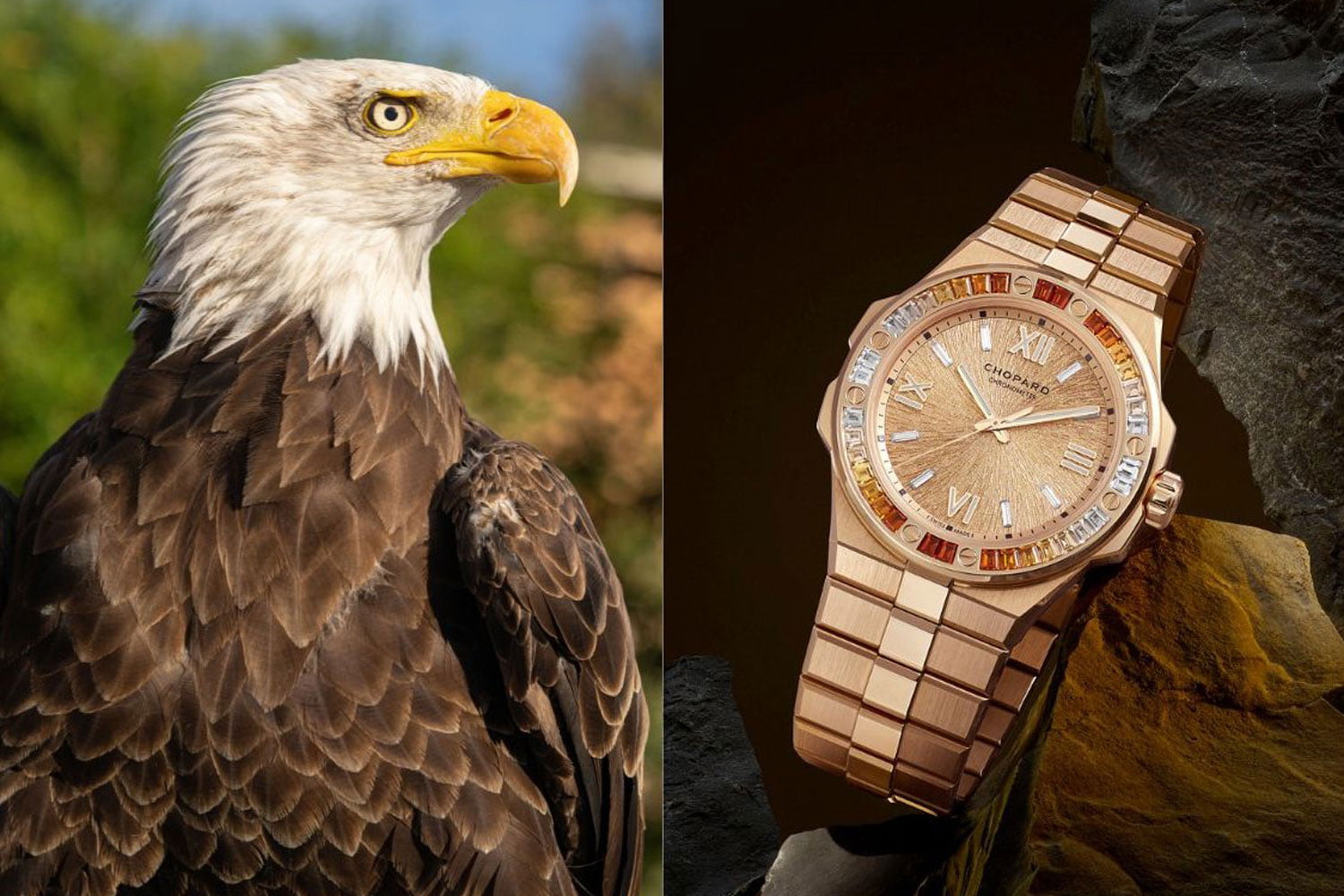 Chopard Alpine Eagle Summit